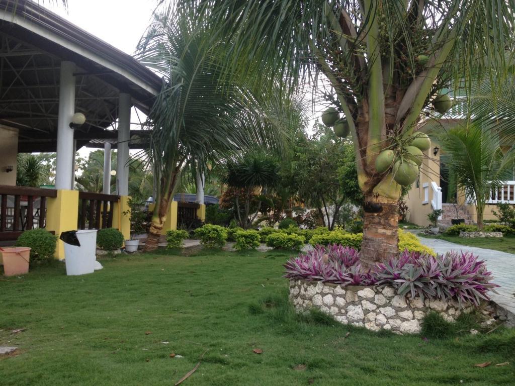 Moalboal Beach Resort Alcantara  Екстер'єр фото